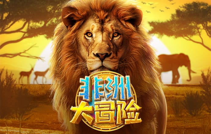 九州体育官网入口