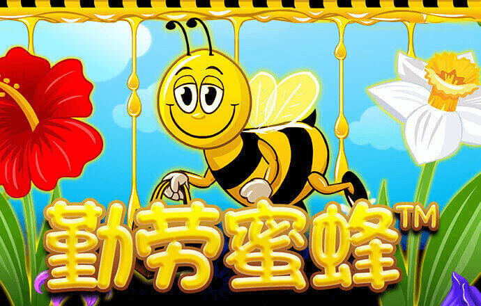 新奥资料免费精准新奥生肖卡